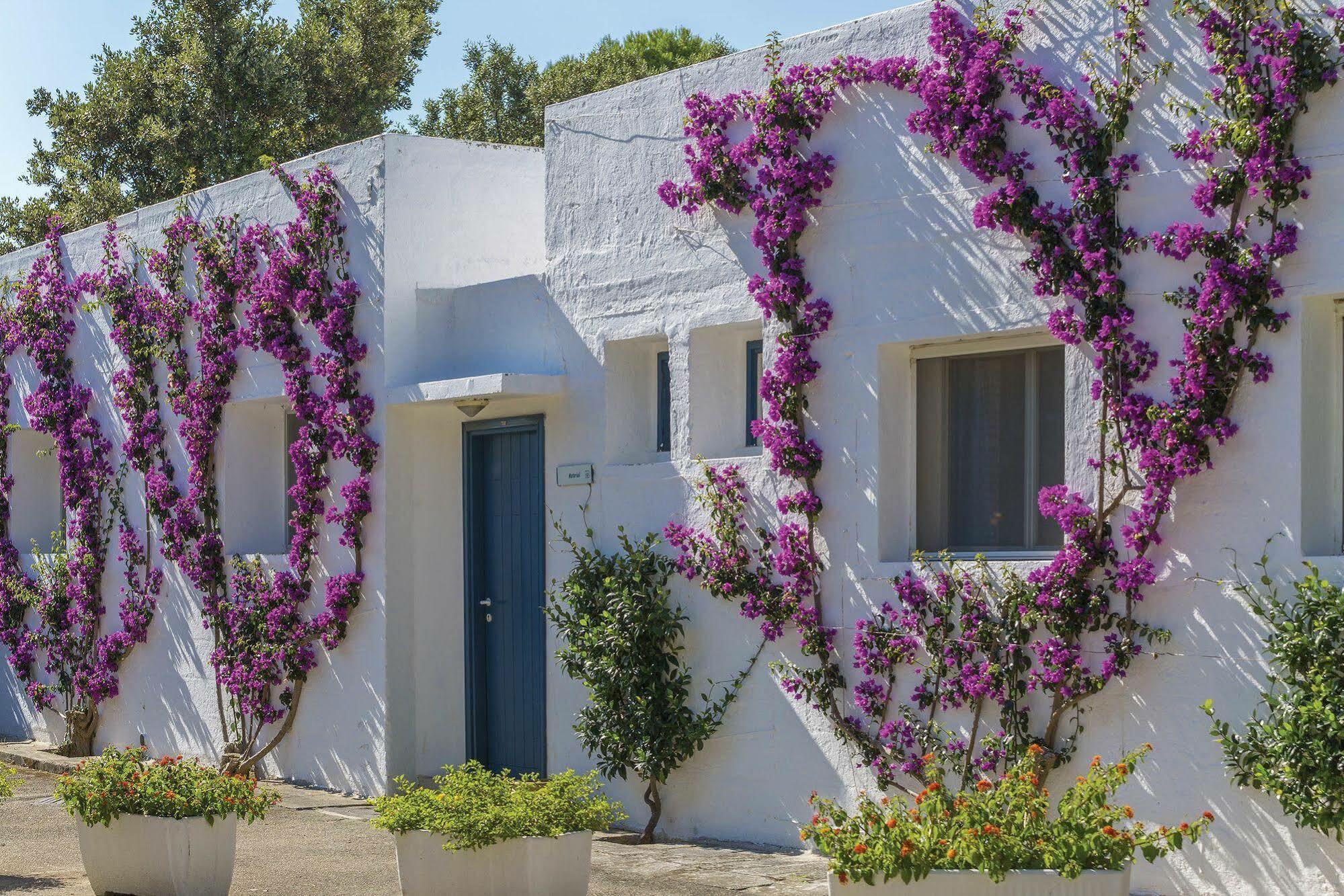 Th Ostuni - Ostuni Village Exteriör bild